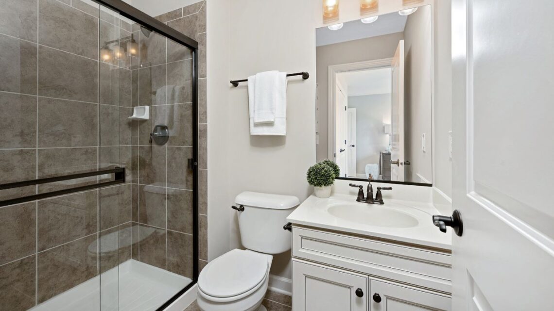 small bathroom renovation ideas